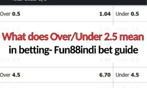 What does OverUnder 2.5 mean in betting